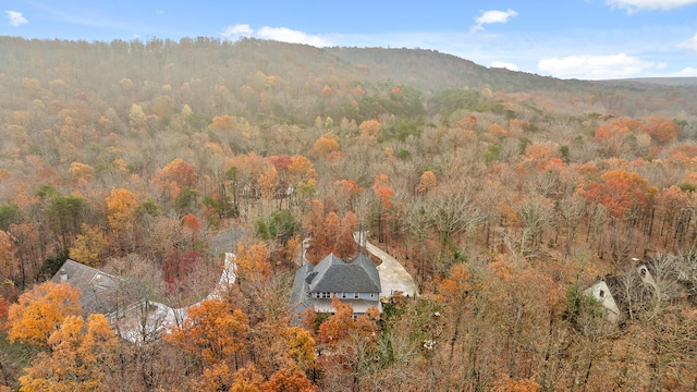 view of mountain feature