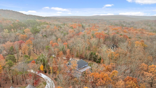 bird's eye view featuring a mountain view