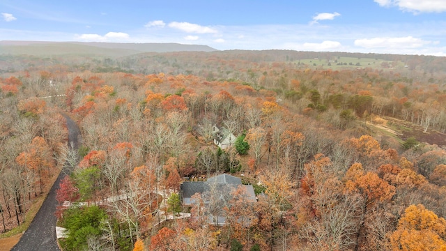 bird's eye view with a mountain view