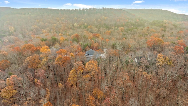 aerial view featuring a mountain view