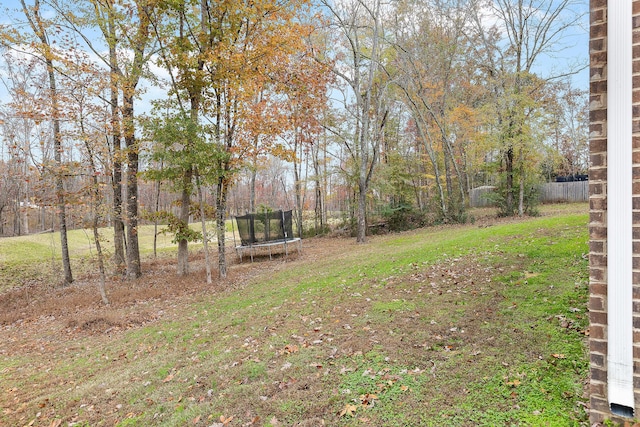 view of yard with a trampoline