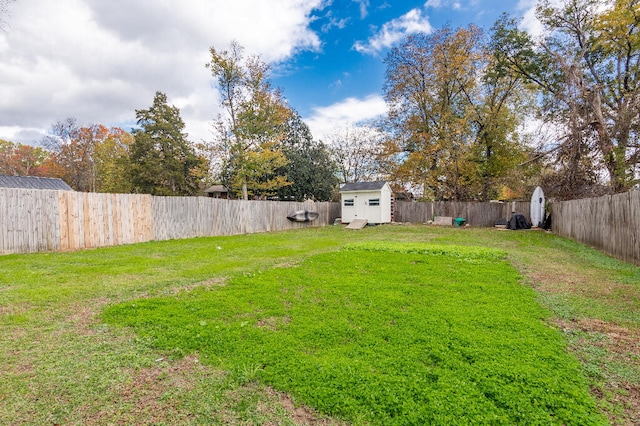 view of yard featuring a storage unit