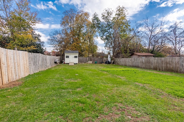 view of yard with a storage unit