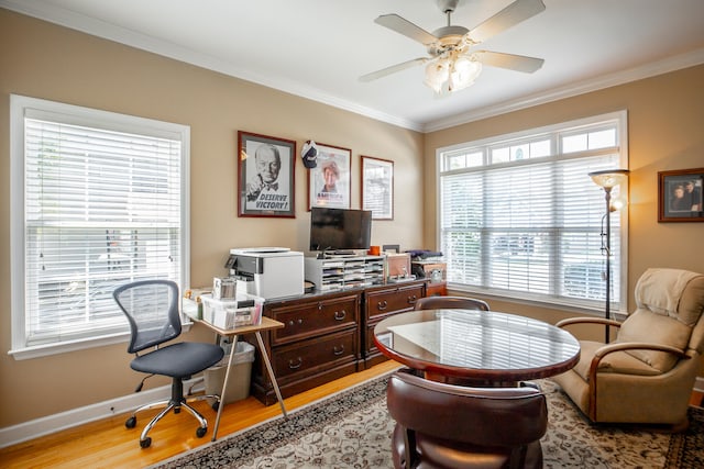 office space featuring a wealth of natural light, light hardwood / wood-style flooring, ceiling fan, and ornamental molding