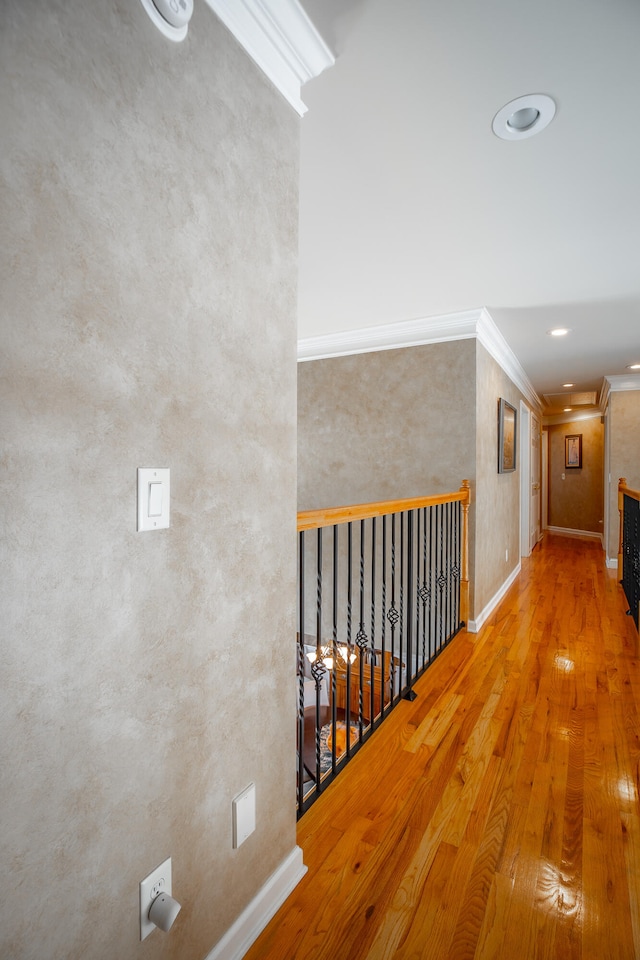 hallway featuring wood-type flooring and crown molding