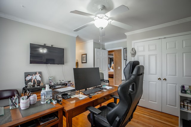 office area with light hardwood / wood-style flooring, ceiling fan, and crown molding