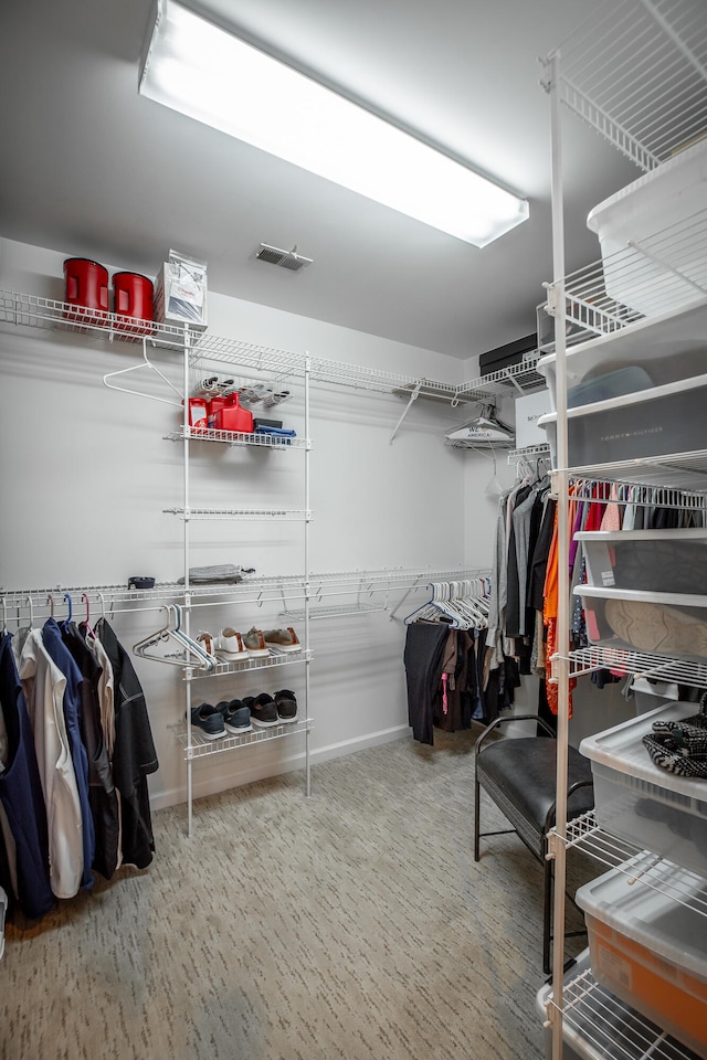 view of spacious closet