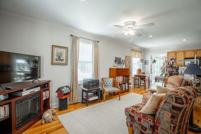 living room featuring ceiling fan, ornamental molding, and light hardwood / wood-style flooring