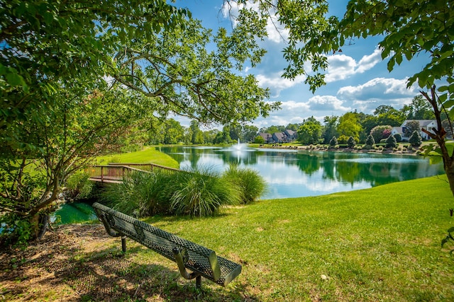 view of water feature