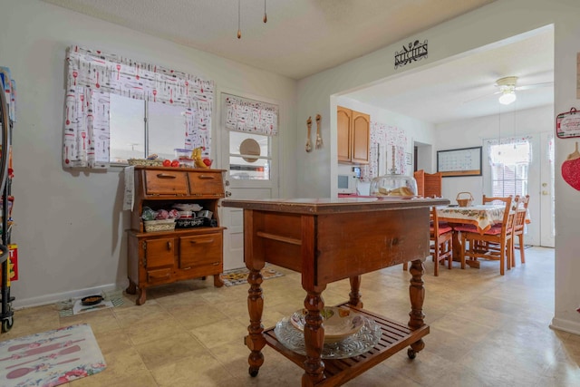 interior space with ceiling fan