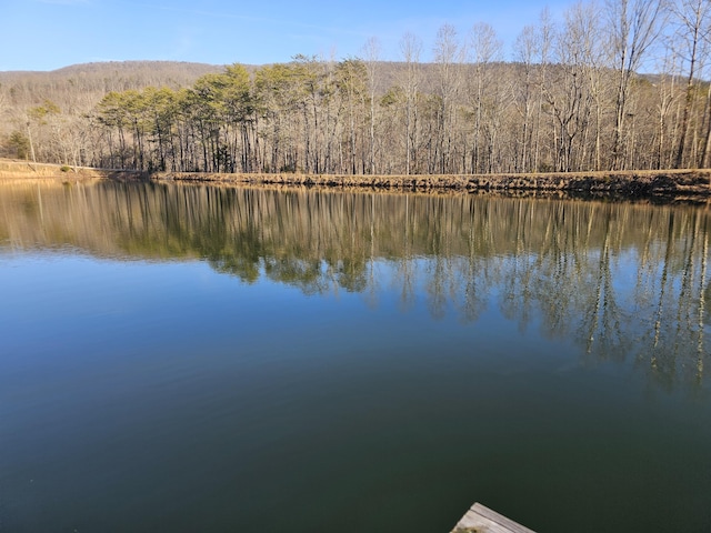 water view with a view of trees