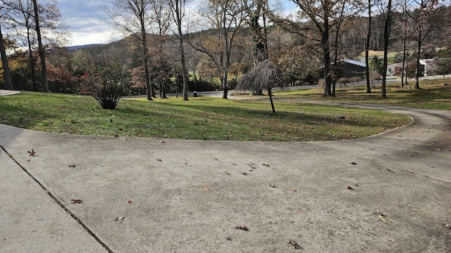 view of street featuring driveway and a mountain view