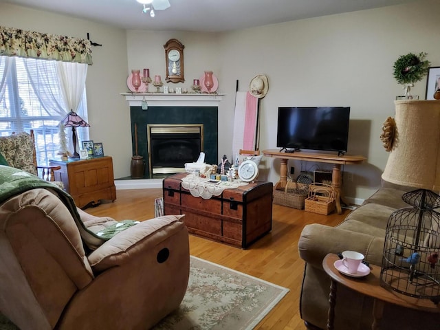 living room featuring light hardwood / wood-style floors