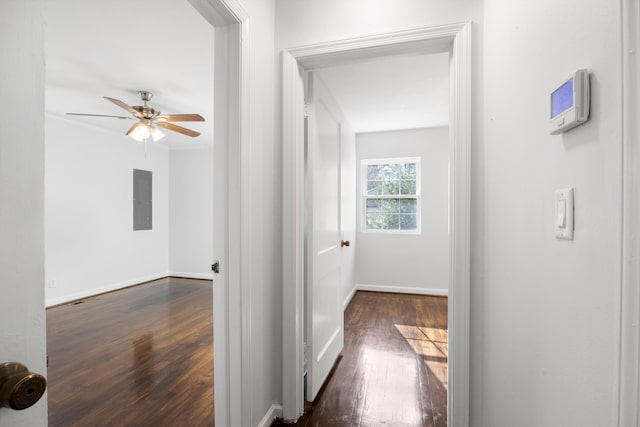 corridor with dark hardwood / wood-style flooring and electric panel