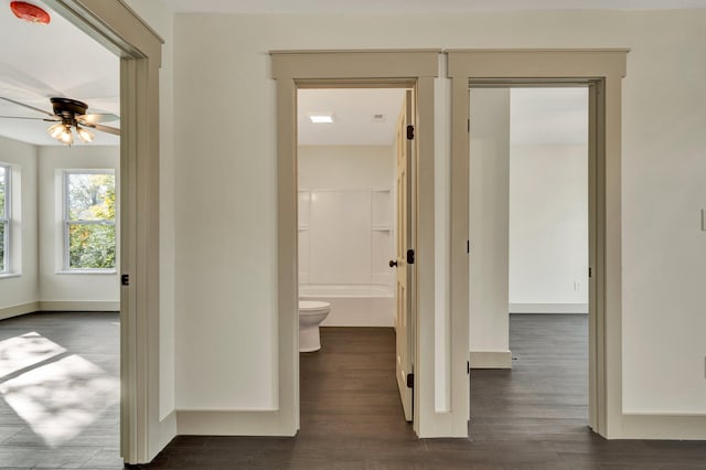 hallway featuring dark hardwood / wood-style floors