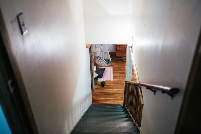 staircase featuring wood-type flooring