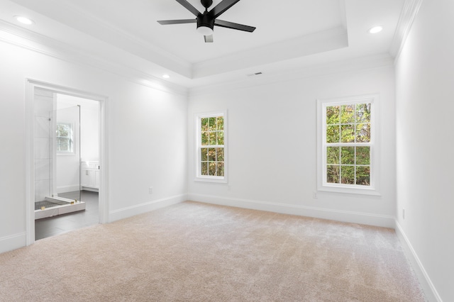 carpeted empty room featuring a tray ceiling, ceiling fan, plenty of natural light, and ornamental molding