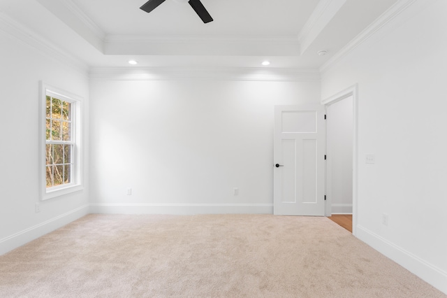 carpeted spare room with a raised ceiling, ceiling fan, and crown molding