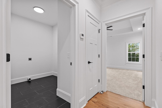 corridor featuring ornamental molding and dark wood-type flooring