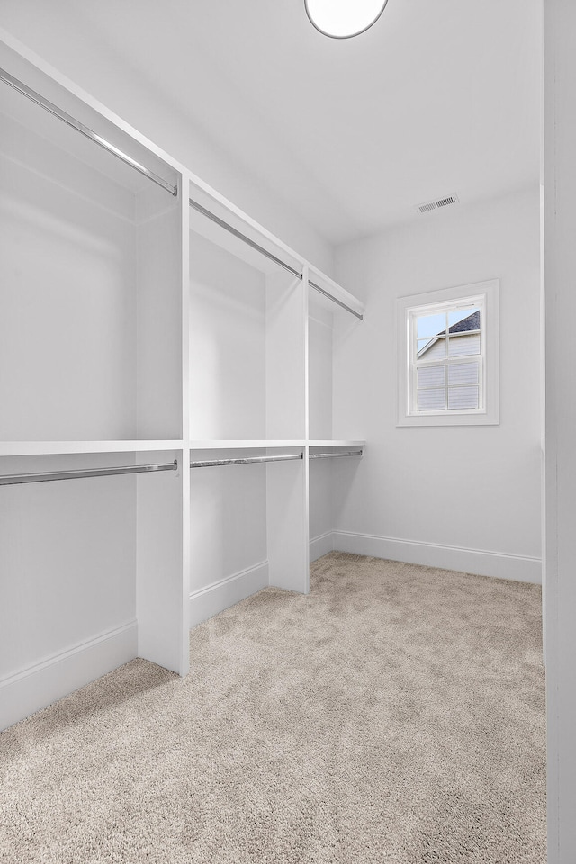 walk in closet with carpet