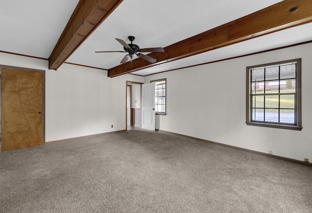 carpeted empty room with ceiling fan, beam ceiling, crown molding, and a wealth of natural light