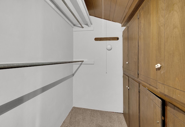 spacious closet featuring light carpet and vaulted ceiling