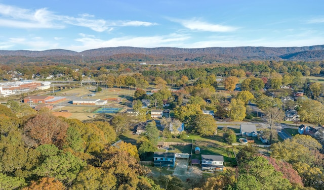 birds eye view of property with a mountain view