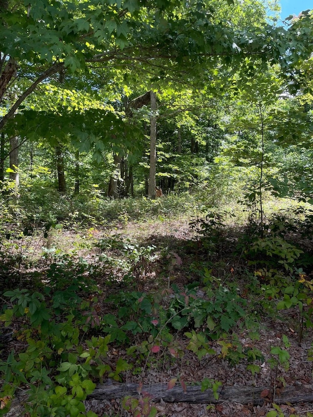 0 Roaring Creek Rd Lot 296, Dunlap TN, 37327 land for sale