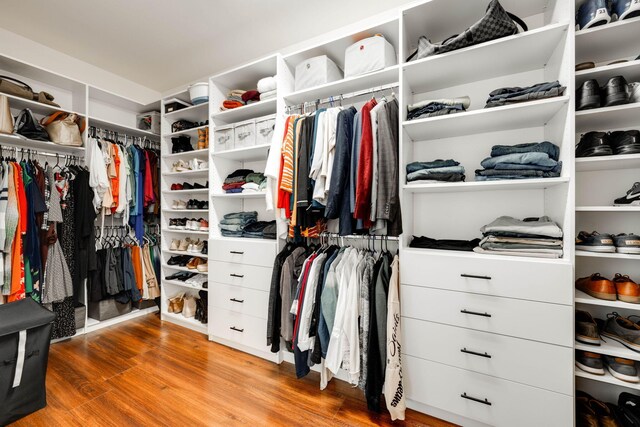 spacious closet with hardwood / wood-style flooring