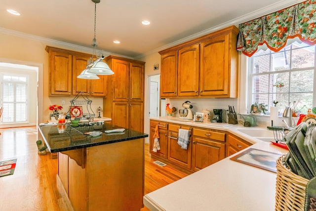 289 Magnolia Pl, Ringgold, GA 30736 - kitchen with ornamental molding, a kitchen island, healthy amount of natural light, light wood-type flooring, and brown cabinetry