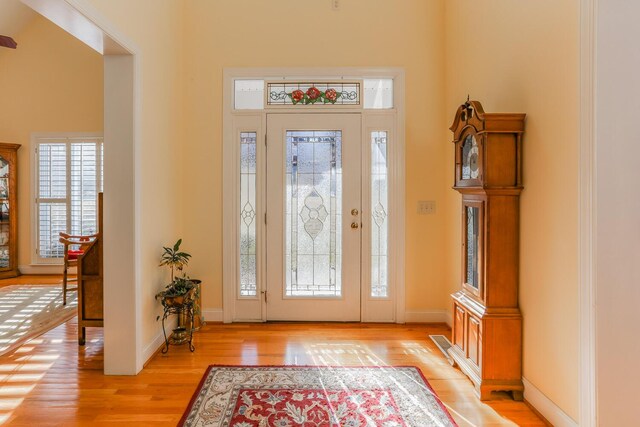289 Magnolia Pl, Ringgold, GA 30736 - foyer featuring light wood-style flooring, a high ceiling, and baseboards