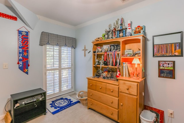 289 Magnolia Pl, Ringgold, GA 30736 - misc room with light carpet