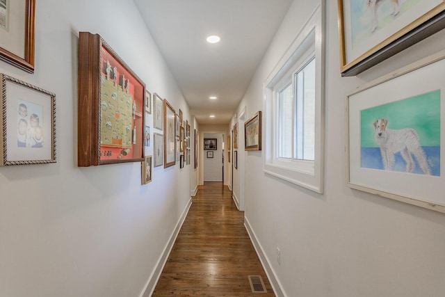 hall featuring dark wood-type flooring