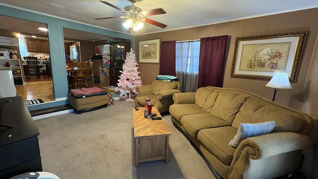 carpeted living room with ceiling fan and ornamental molding