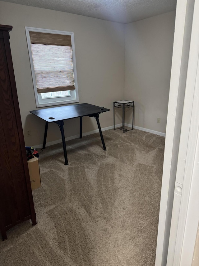 misc room with carpet and a textured ceiling