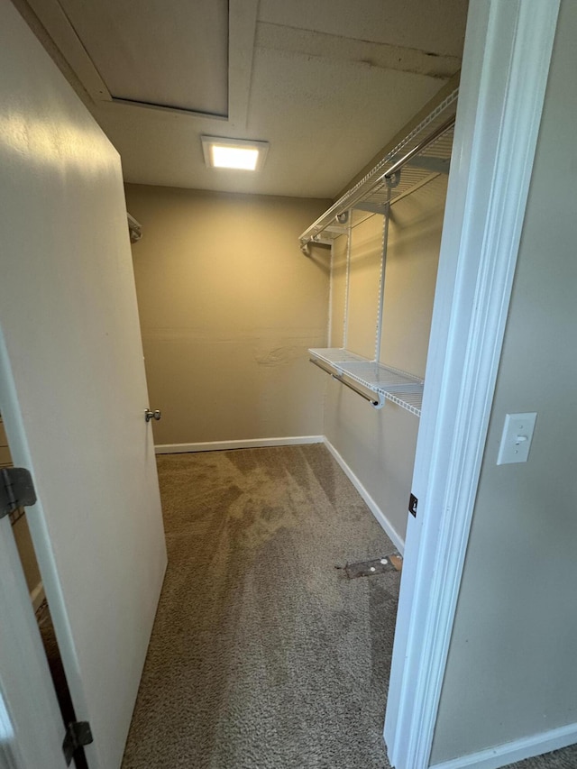 walk in closet with carpet