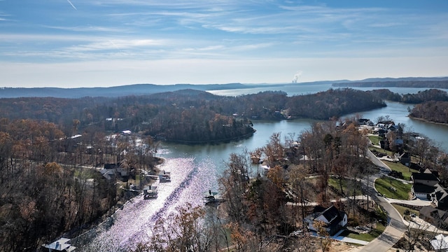 birds eye view of property featuring a water and mountain view