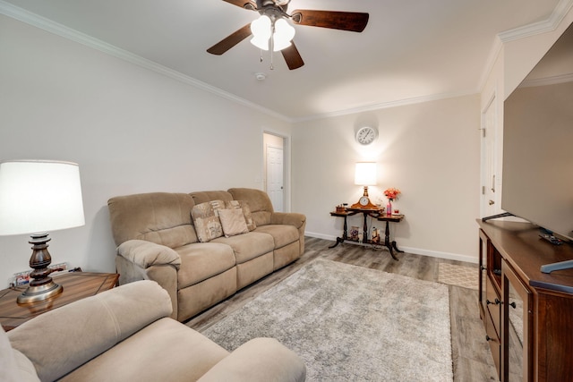 living room with ceiling fan, ornamental molding, and light hardwood / wood-style flooring