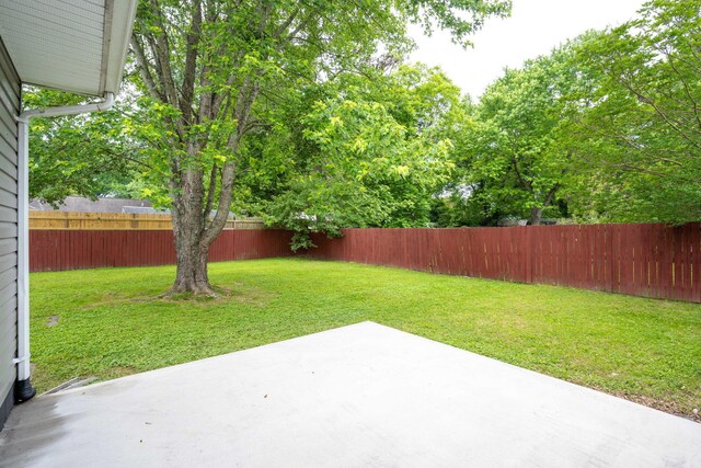 view of yard featuring a patio