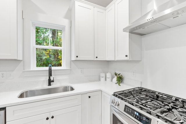 kitchen with white cabinetry, sink, wall chimney exhaust hood, and appliances with stainless steel finishes