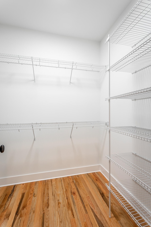 walk in closet featuring wood-type flooring