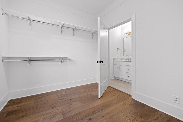 walk in closet featuring wood-type flooring