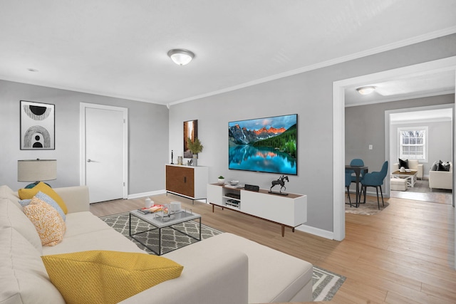 living room with crown molding and wood-type flooring