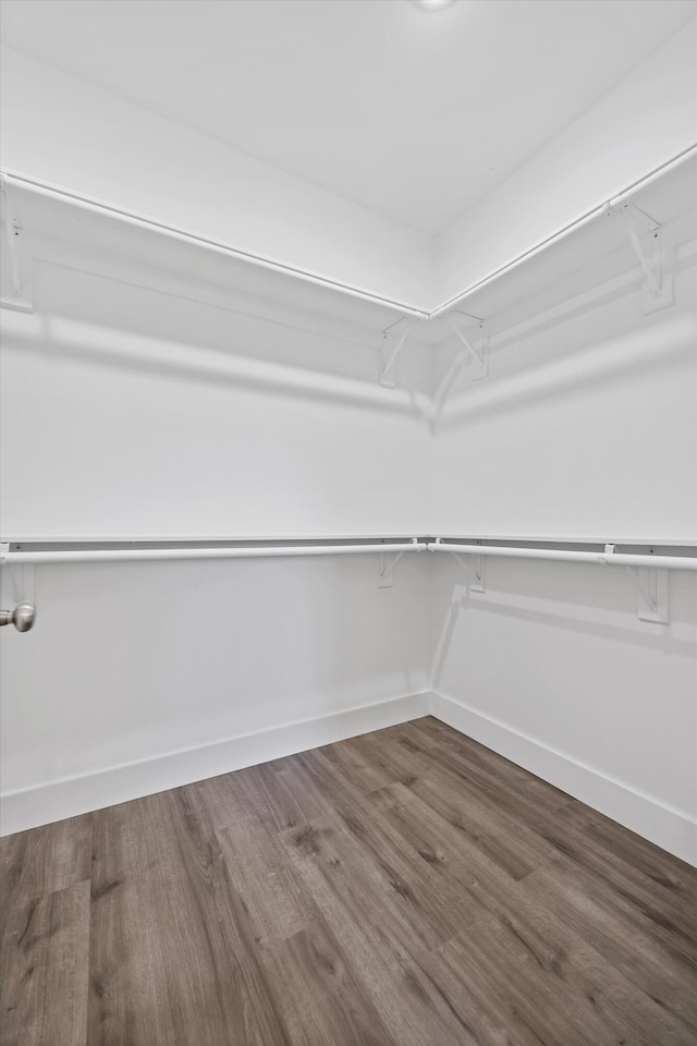 walk in closet with wood finished floors