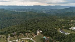 aerial view with a mountain view