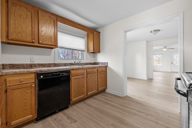 kitchen featuring a wealth of natural light, light hardwood / wood-style floors, and black dishwasher