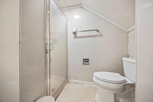 bathroom featuring a shower stall, toilet, and vaulted ceiling