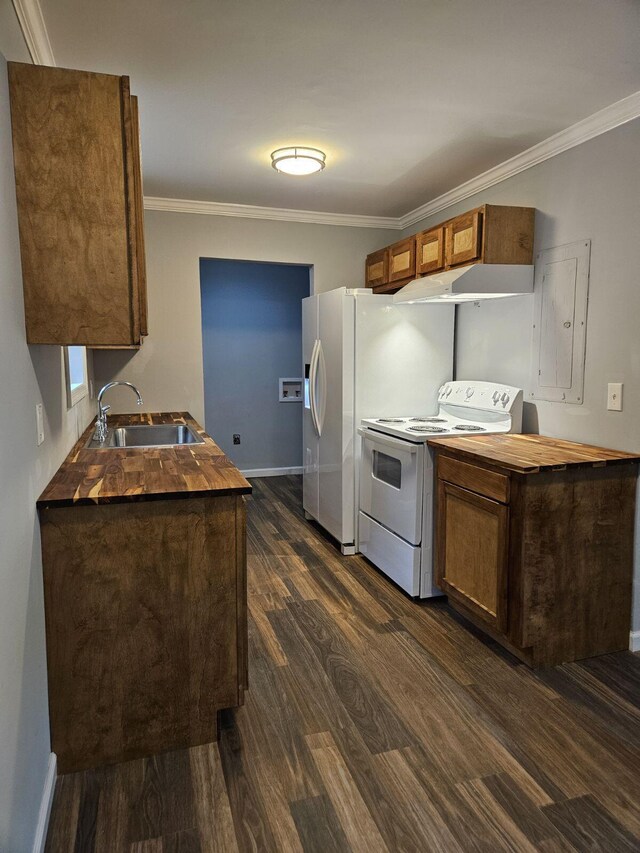 kitchen featuring dark wood finished floors, butcher block counters, white electric range, ornamental molding, and a sink