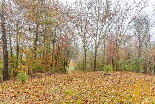 view of landscape featuring a view of trees