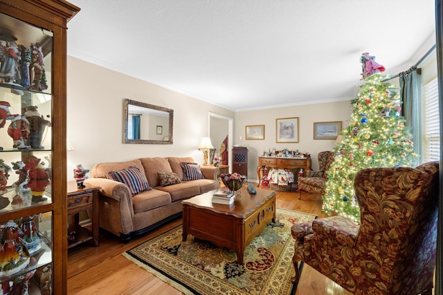 living room featuring light hardwood / wood-style flooring and ornamental molding